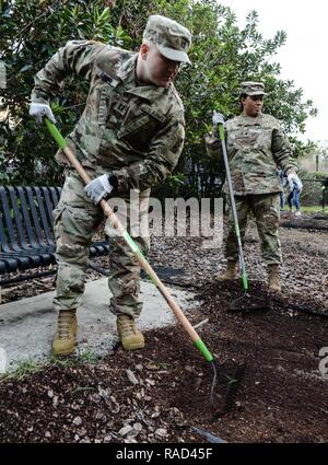 Esercito Capt. Josh C. Agnew (sinistra), a Chippewa Falls, Wisc., nativo di servire operations officer, 143d ESC, rastrelli strame e terreno in preparazione per l'installazione di un nuovo letto giardino al nord Colonialtown comunità giardino gen. 27, 2017 a Orlando, Fla. Agnew e sei altri riserva di esercito di soldati uniti i punteggi dei volontari della comunità di Orlando per aiutare a portare il giardino torna alla sua precedente gloria più ecologici. Diretto da opere verdi Orlando in congiunzione con la NFL del programma ambientale, il giardino del rilancio è stato uno dei molti progetti comunitari di entrambe le organizzazioni è riuscito ad alleggerire la e Foto Stock