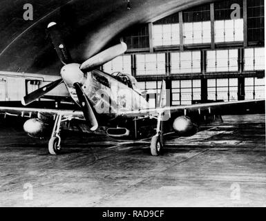 Un P-51D Mustang illustrato all'interno di un hangar di manutenzione con ampia gamma di serbatoi di caduta e di punti duri come il velivolo viene sottoposto ad interventi di manutenzione, riparazione e revisione per i controlli più probabilmente prima di essere spedite in Asia per azione di combattimento durante la Guerra di Corea. Foto Stock