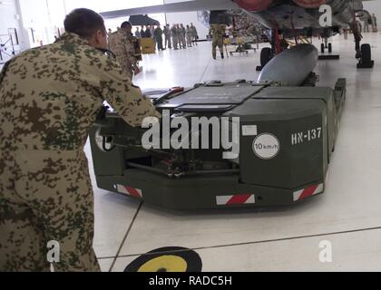 German Air Force Flying Training Center membri caricare un inerte di munizione su un GAF Tornado durante un carico trimestrale crew concorrenza a Holloman Air Force Base, N.M., 20 gennaio, 2016. Il GAF hanno gareggiato per l'ultima volta nel carico crew concorrenza per avere le loro competenze valutate accanto al MQ-9 Reaper e la F-16 Fighting Falcon equipaggi di carico. Punti per il concorso sono assegnati sulla base di carico di armi, tool kit ispezione e uniformi di ispezione categorie. Foto Stock