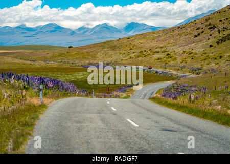 Strada di Montagna in posizione pittoresca in Nuova Zelanda con i lupini crescente sul lato Foto Stock