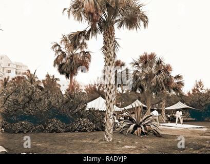 Golf Links, Hotel Royal Poinciana, Palm Beach Fla, alberghi, Golf, Resorts, Stati Uniti, Florida, Palm Beach, 190 reinventato Foto Stock