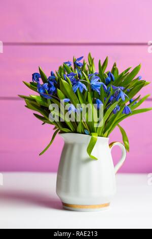 Snowdrops in un vaso su una tabella su un sfondo rosa Foto Stock