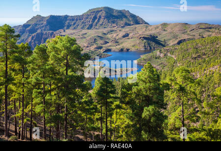 Gran Canaria, Dicembre,vista da un percorso di trekking in Inagua riserva integrale verso il serbatoio di acqua dolce Presa de Las Ninas Foto Stock