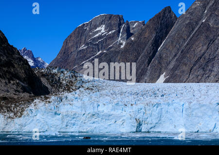 I passeggeri di crociera in zodiac dare alla scala enorme faccia, Thryms ghiacciaio, Skjoldungen Fjord, remote est della Groenlandia, Danimarca, regioni polari Foto Stock