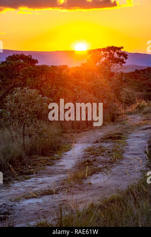 Piccola strada sterrata attraverso le colline e la vegetazione nativa della foresta Carrancas nel Minas Gerais, Brasile Foto Stock