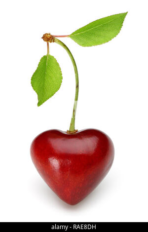 A forma di cuore rosso ciliegia con levetta e foglie verdi isolati su sfondo bianco Foto Stock