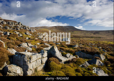 Clough pike visto dal percorso fino dalla corsia di Rigg parcheggio auto presso Quernmore Lancashire Foto Stock