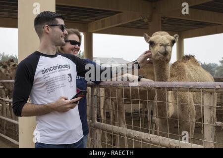 MANAMA, Bahrain (GEN. 11, 2017) La comunicazione di massa specialista in seconda classe Dinnis Grube, con USS Makin Island (LHD 8) e dell'aviazione di Boatswain Mate 2a classe Nicole Liskey, con lo squadrone anfibio 5, pet un baby cammello durante un tour della città in Bahrain gen. 11. Le visite previste dalla morale, di benessere e di svago a bordo del team Makin Island abilitare i Marines e marinai con la Makin Island anfibio gruppo pronto/xi Marine Expeditionary Unit di sperimentare e comprendere la cultura del Bahrein durante la loro visita di porta. La gita della città include una visita ad una fattoria di cammelli, Al Fateh Grande Moschea, dolce Foto Stock