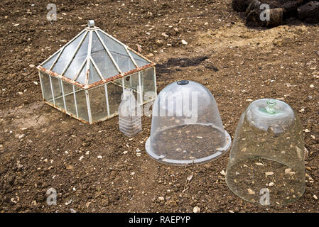 Vari tipi di giardino le campane Foto Stock