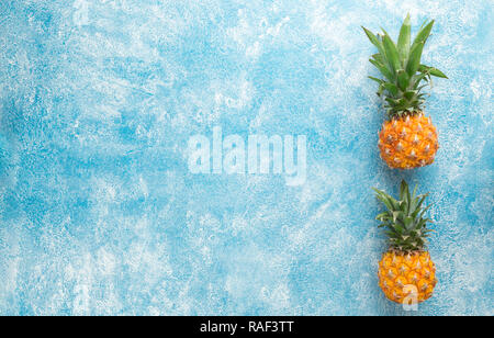 Due succose carni mini ananas su uno sfondo blu, vista dall'alto, lo spazio per il testo, la lunga vasta banner Foto Stock