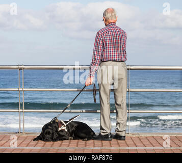 Uomo anziano con il nero Labrador cane guida. Foto Stock