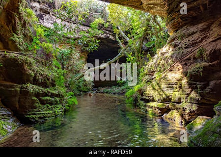 Fiume tra rocce, MOSS, grotta e vegetazione nella foresta pluviale di Carrancas, Minas Gerais, Brasile Foto Stock