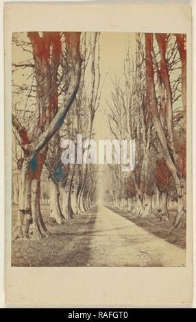 Avenue a Wollaton Hall. Signore Middleton vicino a Nottingham, William Woodward (British, attivo Nottingham, Inghilterra 1850s reinventato Foto Stock