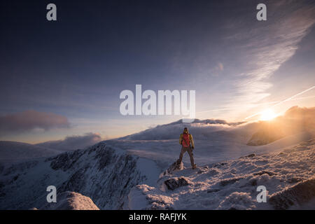 Highlands della Scozia, Cairngorms, figura nel paesaggio Foto Stock