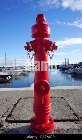 Rosso fuoco pompa in yacht marine, fireplug per emergenza. Di sicurezza e di sistemi di protezione antincendio Foto Stock