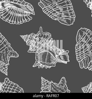 Seashells vector seamless pattern. Disegnato a mano illustrazioni marino della linea incisa. Sfondo monocromo. Illustrazione Vettoriale