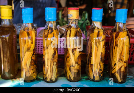 Bottiglie di alcol sulla corteccia di un palmo in uno dei villaggi del Myanmar (Birmania) Foto Stock