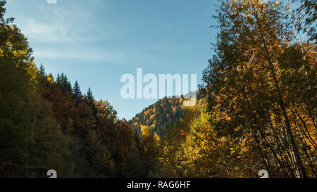 Autunno bello colorson il paesaggio collinare Foto Stock