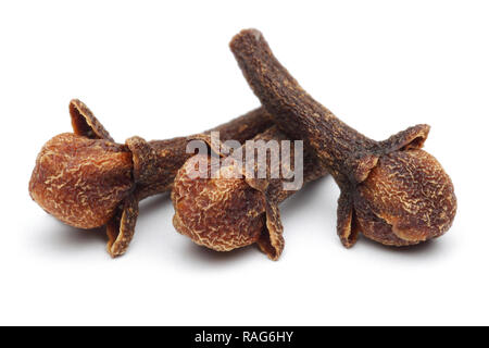 Tre chiodi di garofano boccioli isolati su sfondo bianco. Macro, studio shot. Foto Stock