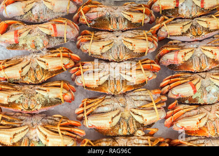 Dungeness granchi sul display per la vendita presso il Mercato di Pike Place a Seattle, Washington, Stati Uniti. Foto Stock