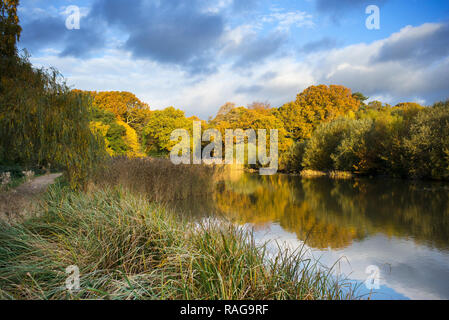 Il lago ornamentale su Southampton comune in autunno. Southampton, Inghilterra. Foto Stock
