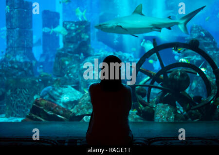 Giovane donna guarda i pesci e gli squali nel bellissimo acquario blu a Dubai Foto Stock