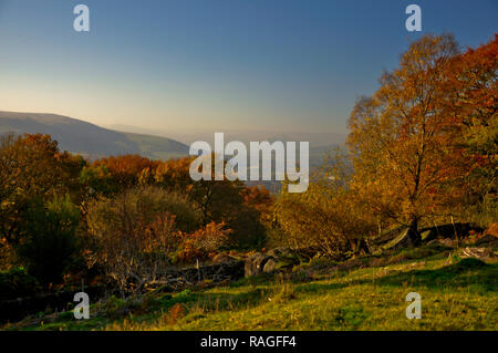 Colori autunnali a Derwent Valley presi nel tardo pomeriggio dalla vista sorpresa vicino alla South Yorkshire Derbyshire boundary Foto Stock