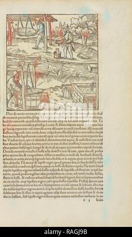 Pagina 269 Georgii Agricolae De re metallica: libri XII. Quibus officia, instrumenta, machinae, ac omnia deni, que, annuncio reinventato Foto Stock