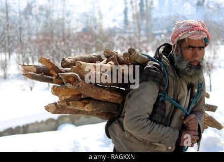 Anantnag, India. Xiv Feb, 2018. Un uomo del Kashmir che trasportano la legna durante la nevicata a Pahalgam su Gennaio 3, 2019 a circa 100 chilometri da Srinagar, India. Il Kashmir ha ricevuto la sua prima nevicata del nuovo anno la rottura di un mese-lungo periodo di siccità nella valle. Credito: Aasif Shafi/Pacific Press/Alamy Live News Foto Stock