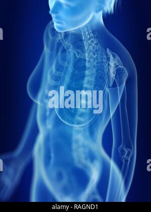 Illustrazione di una donna di scheletro. Foto Stock