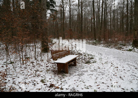 La prima neve è scesa nel bosco d'inverno. Foto Stock