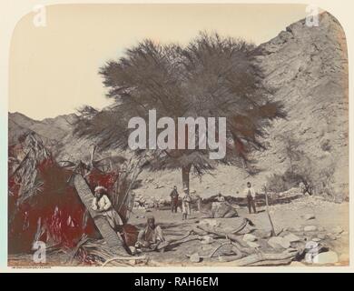 Seyal (Acacia albero), dedicata al Santo Patrono, Wady Feiran, Sgt. James M. McDonald (inglese, 1822 - 1885 reinventato Foto Stock