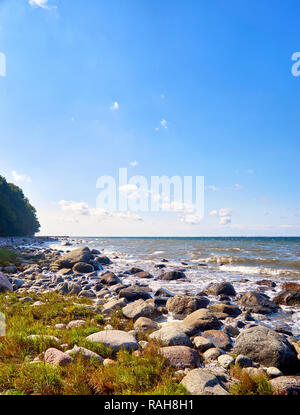 Spiaggia sassosa in Lohme sull'isola di Rügen. Mar Baltico nel Mecklenburg-Vorpommern. Foto Stock