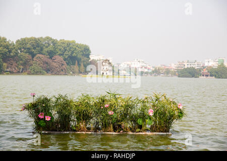 Pink Lotus in un stagno Foto Stock