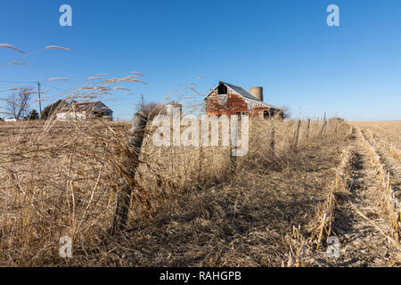 Erba e fieno al vento lungo un antico recinto di filo spinato in rurale della contea di Marshall. Edifici agricoli e fienile dietro. Foto Stock