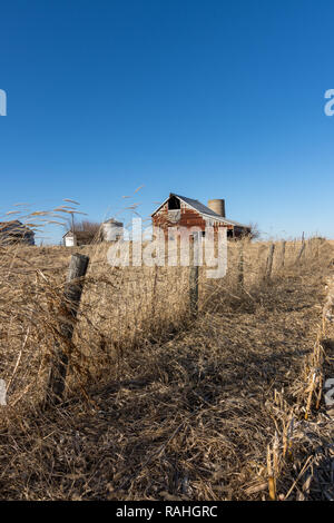 Erba e fieno al vento lungo un antico recinto di filo spinato in rurale della contea di Marshall. Edifici agricoli e fienile dietro. Foto Stock