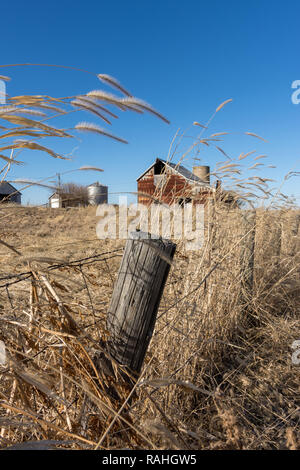 Erba e fieno al vento lungo un antico recinto di filo spinato in rurale della contea di Marshall. Edifici agricoli e fienile dietro. Foto Stock