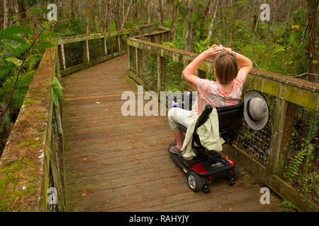 Mobilità scooter on Cypress Swamp Boardwalk, Arthur R. Marshall Loxahatchee National Wildlife Refuge, Florida Foto Stock