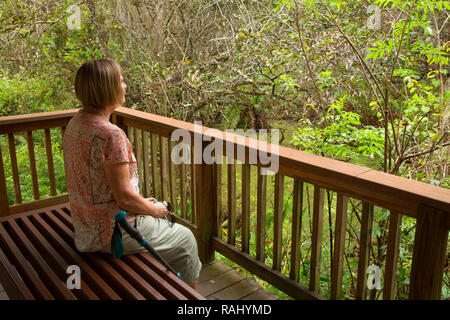 Visualizzazione di panca su Cypress Swamp Boardwalk, Arthur R. Marshall Loxahatchee National Wildlife Refuge, Florida Foto Stock