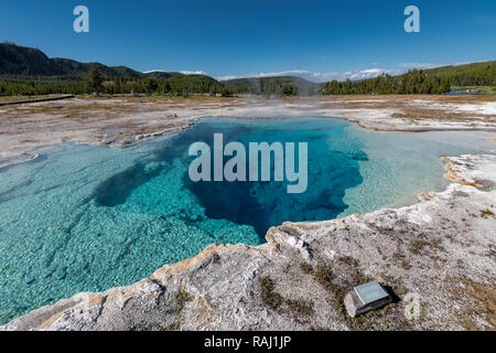 Colorato Hot Springs nel bacino del biscotto nel Parco Nazionale di Yellowstone, Wyoming USA Foto Stock