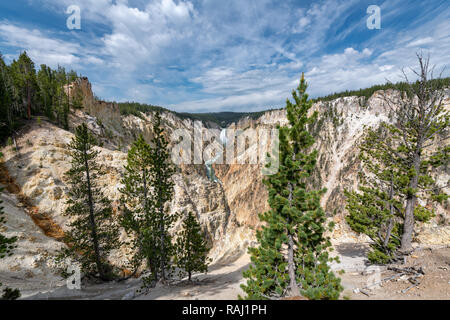 Il Grand Canyon di Yellowstone nel Parco Nazionale di Yellowstone, Wyoming. Foto Stock