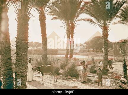 Tipi e agricoltura. Campi di mais e palmgrove (piramidi visto attraverso le palme). 1934, Egitto. Reinventato Foto Stock