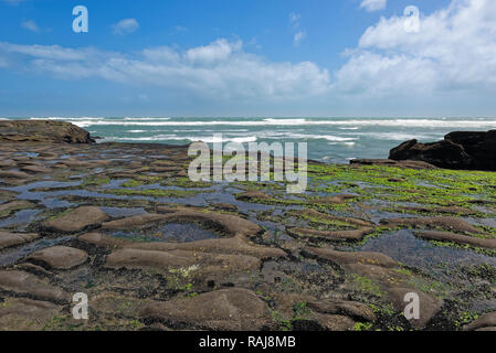 Il mare agitato sotto un cielo blu con una spiaggia rocciosa in primo piano coperto con muschio verde e piscine di acqua Foto Stock