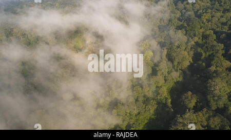 Vista aerea della foresta tropicale coperto di nuvole con vegetazione lussureggiante e montagne, isola di Giava. paesaggio tropicale, foresta pluviale in zona montagnosa Indonesia. verde e lussureggiante vegetazione. Foto Stock