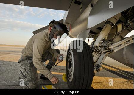 Stati Uniti Air Force aviatori di prima classe Shawna Bucher, F-16 capo equipaggio assegnati per il centottantesimo Fighter Wing, Ohio Air National Guard, che garantisce la corretta pressione degli pneumatici su di un F-16 Fighting Falcon durante un esercizio a MacDill Air Force Base a Tampa, in Florida il 2 febbraio, 2017. Il centottantesimo hanno portato i loro F-16s e circa 150 i manutentori, i piloti e gli specialisti di operazioni a MacDill AFB per due settimane di esercizio che incluso basic fighter manovre contro F-18 calabroni dal Canadian 425th Tactical Fighter Squadron, affilatura di combattere le funzionalità di OANG avieri. (Aria Foto Stock