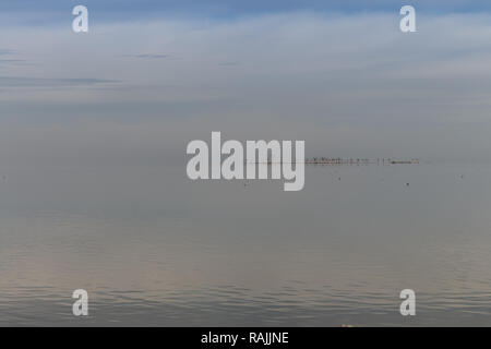 Alberi a secco nella città di Epecuen. Lago di sale che ha causato inondazioni devastanti. Foto Stock