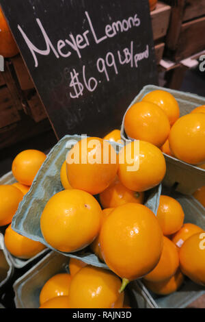 I limoni Meyer in vendita presso green grocer, STATI UNITI D'AMERICA Foto Stock