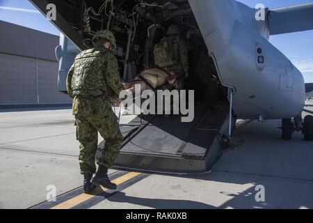 Giappone terra Forza di Autodifesa soldati Sgt. Prima Classe Hiroshi Kozono, anteriore e 2° Lt. Yuichi Umeda, retro, con l'esercito occidentale Reggimento di Fanteria, trasporto simulato un incidente in una MV-22 Osprey durante un cherry picker evento di formazione come parte di esercitare il pugno di ferro, a bordo Marine Corps base Camp Pendleton, California, Febbraio 9, 2017. Durante il cherry picker formazione, simulato e feriti sono trasportati da una MV-22 Osprey, in un mezzo tattico di sostituzione del veicolo, e quindi ad un trauma Shock plotone che è impostato fino ad appena pochi minuti di distanza dal sito di atterraggio per essere trattati. Pugno di Ferro è un Foto Stock