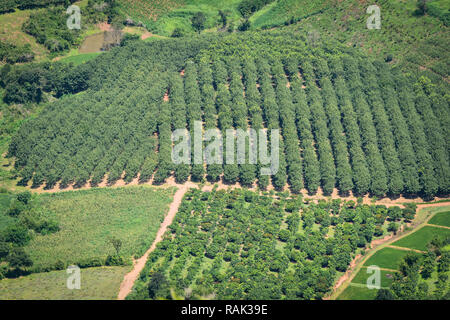 Vista superiore del campo verde zona agricola dalla montagna / paesaggio della campagna agricola in Thailandia Foto Stock