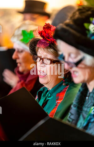 La foresta di alti responsabili rendendo coro musicale di Natale al Dean Heritage Centre, Soudley, nel Gloucestershire. Foto Stock